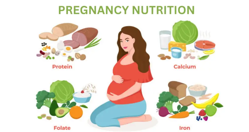 best-nutrition-for-pregnant-women