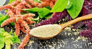 Read more about the article The Forgotten Superfoods: Unearthing the Nutritional Treasures