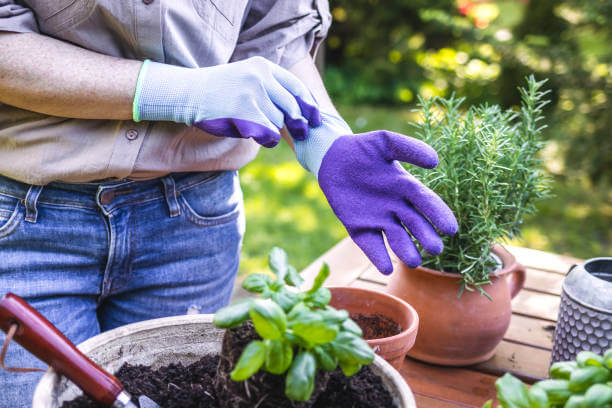 medicinal-herb-garden-tools